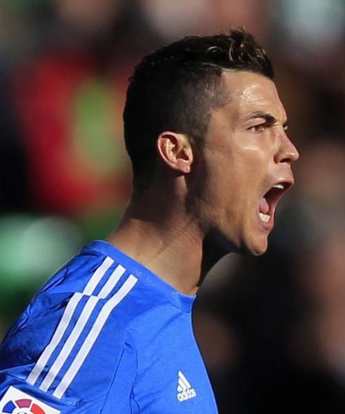 展提供了参 展提供了参